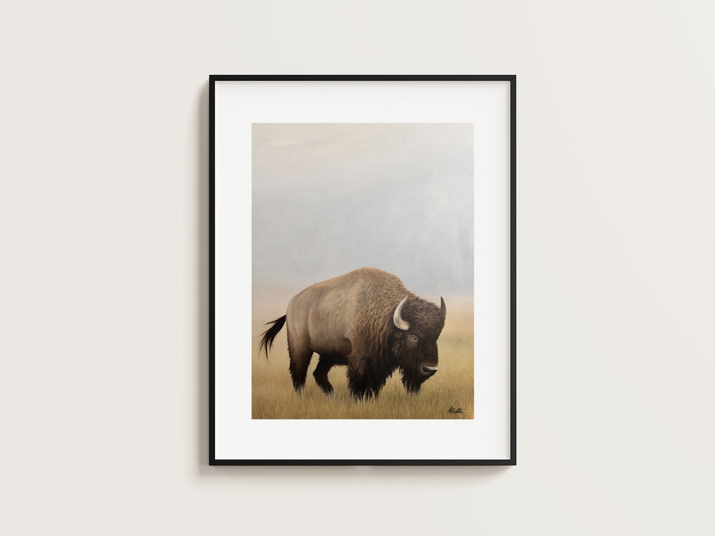 Lone Bison Art Print - High Quality