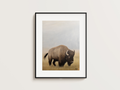 Lone Bison Art Print - High Quality